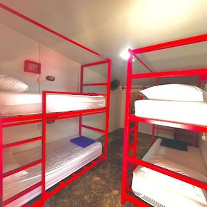 Bed 4-Bed Mixed Dormitory Room