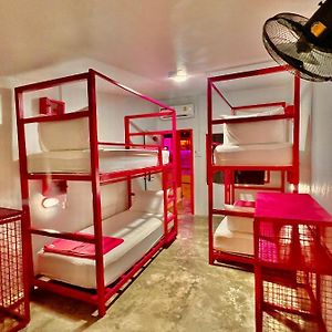 Bed 4-Bed Mixed Dormitory Room Private Toilet